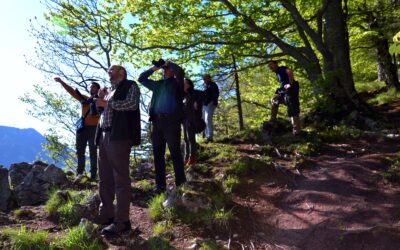 10 Best Things to Do in Fruška Gora National Park
